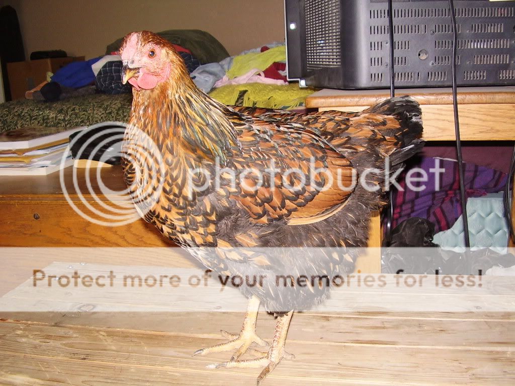 PC300007.jpg