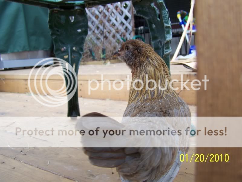 100_3862.jpg