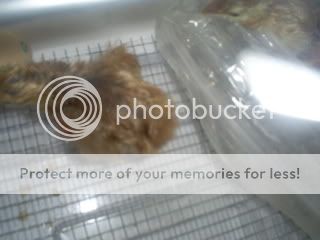 babies010.jpg