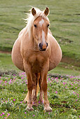 HOR_01_KH0078_01_T.JPG