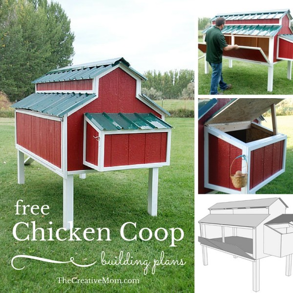 Chicken-Coop.jpg