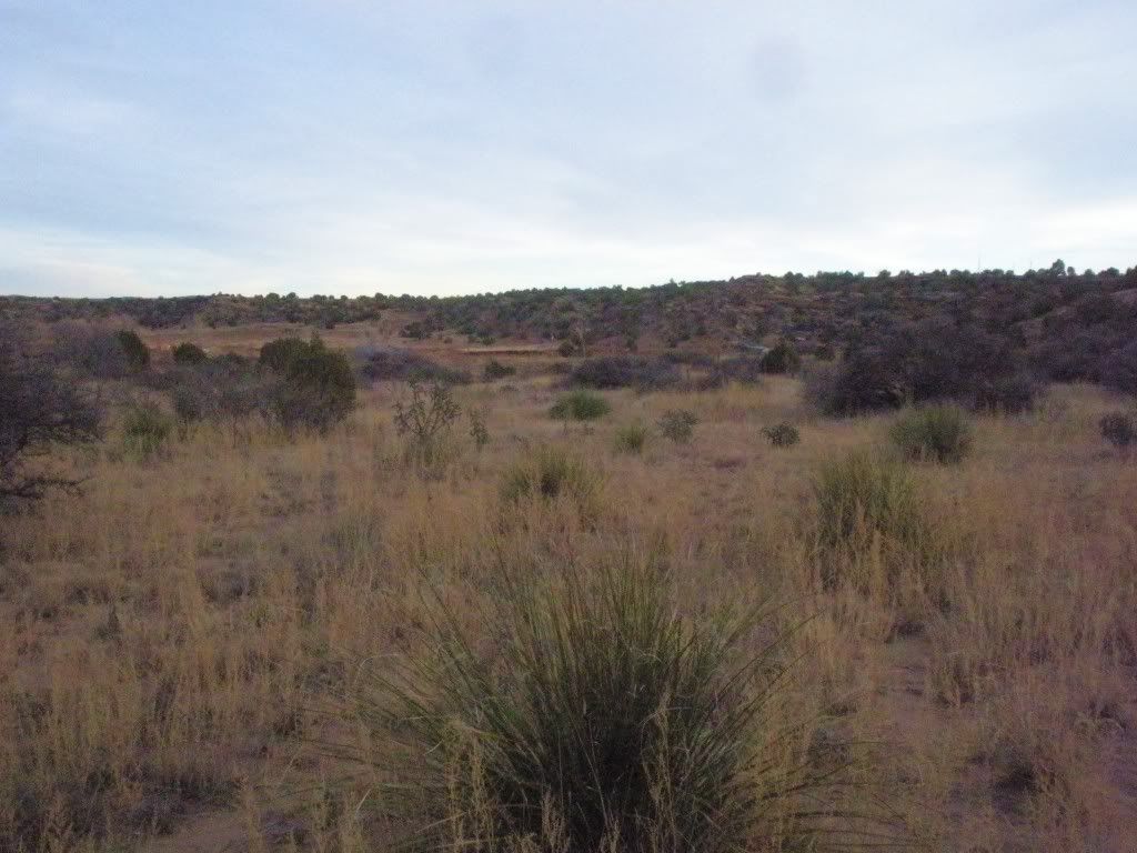 DSCN2798.jpg
