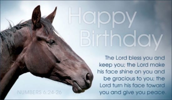 17639-happy-birthday-horse.jpg