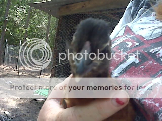 IMG01630.jpg