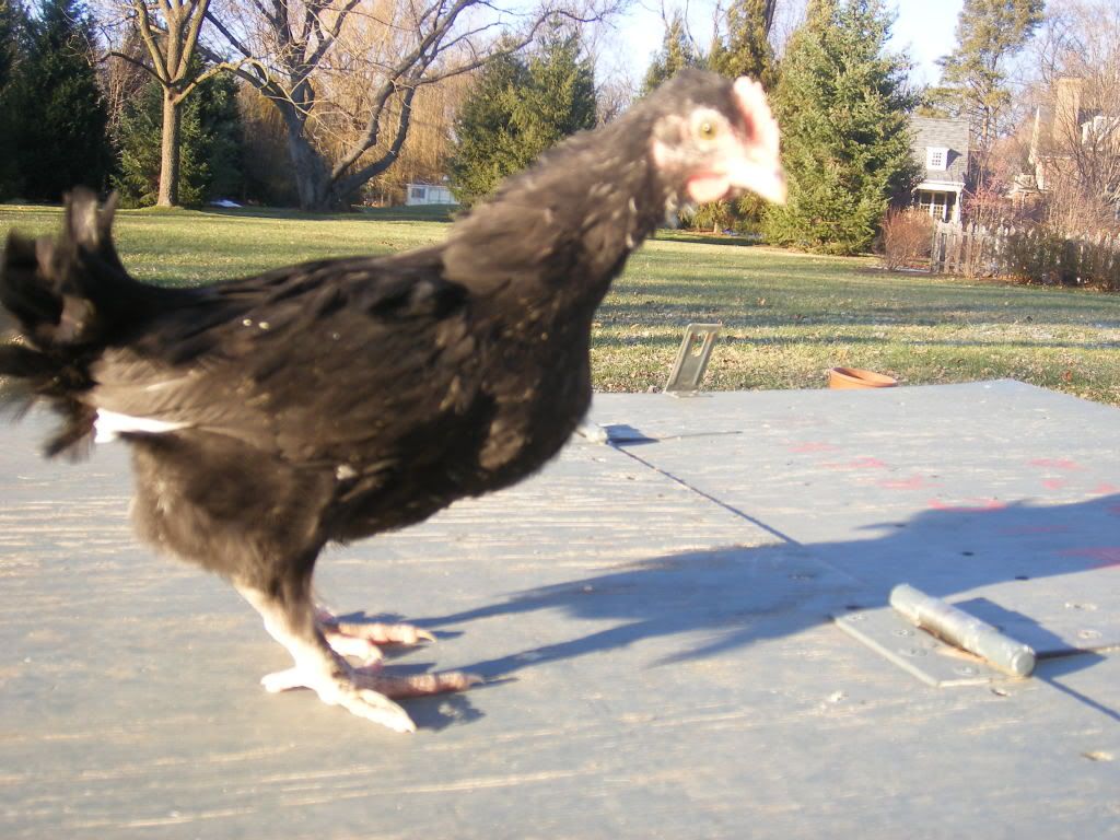 DSCF1921.jpg