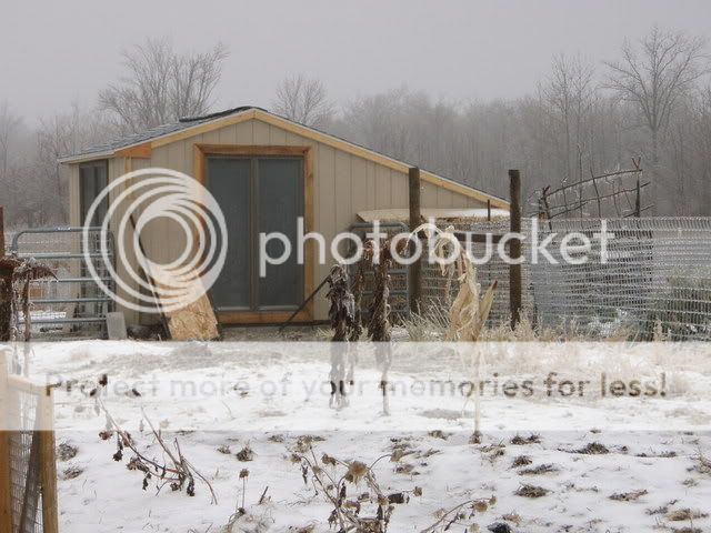 Ice022.jpg
