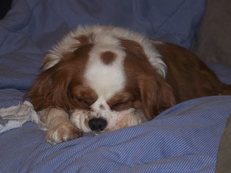 robertosweddingetc078.jpg