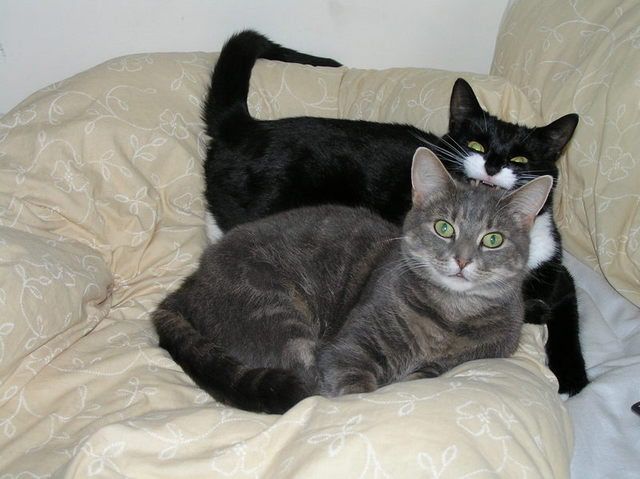 Picture210.jpg