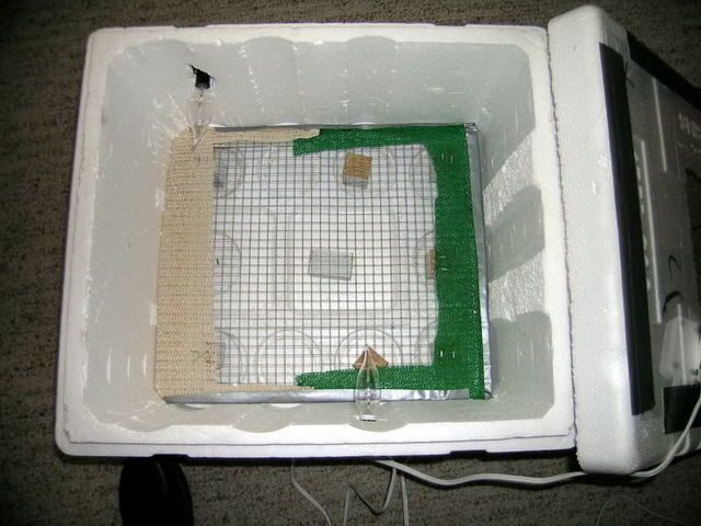 Incubator3.jpg