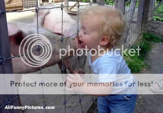pigkiss.jpg