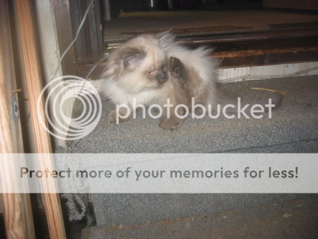 100_0007.jpg