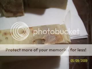 100_2486.jpg