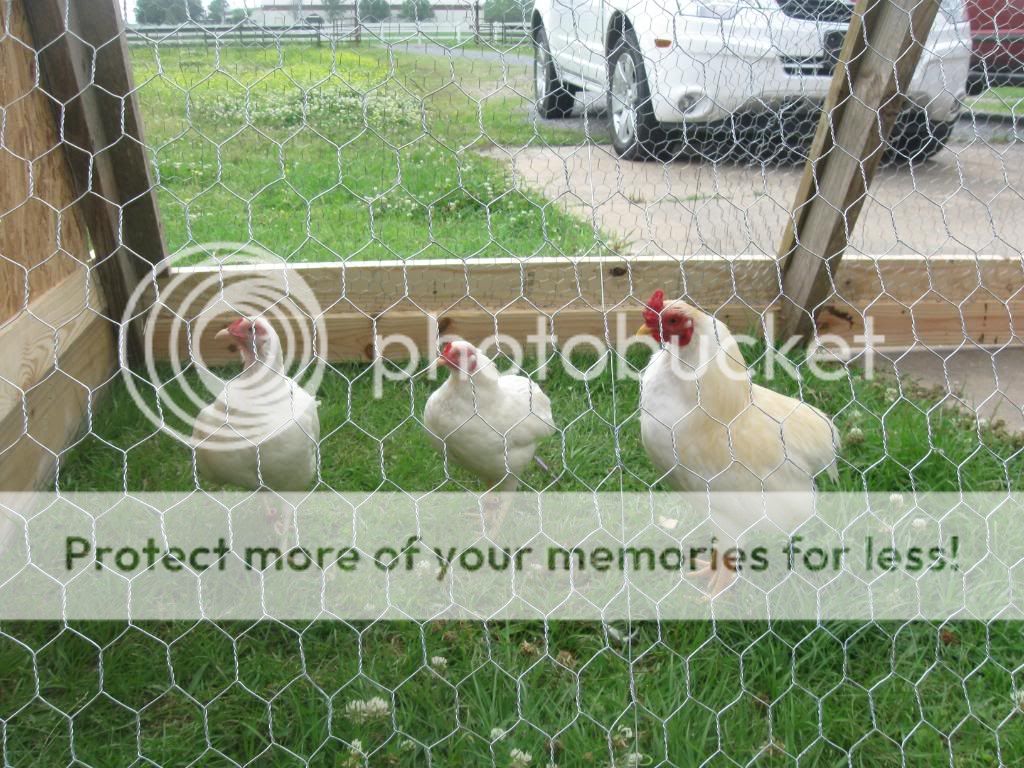IMG_0824.jpg
