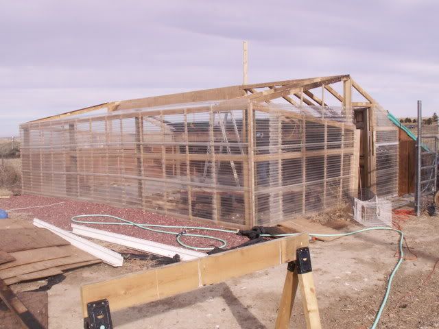 duckhouse010.jpg