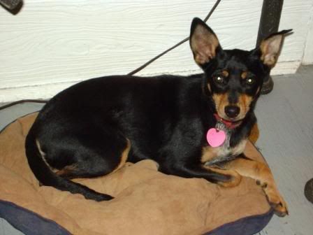 Prissy112008.jpg