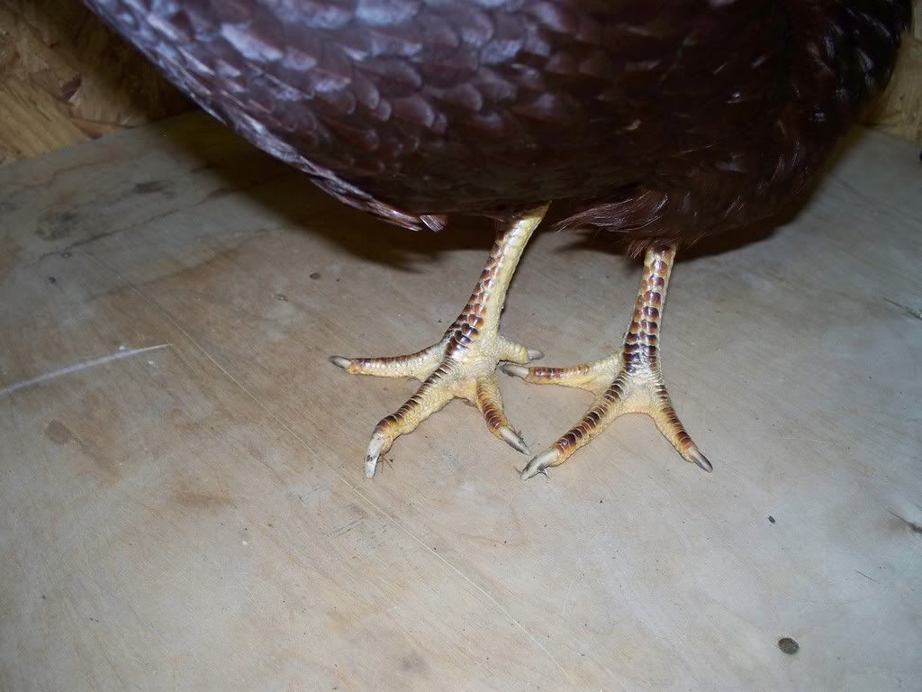 000_0063.jpg