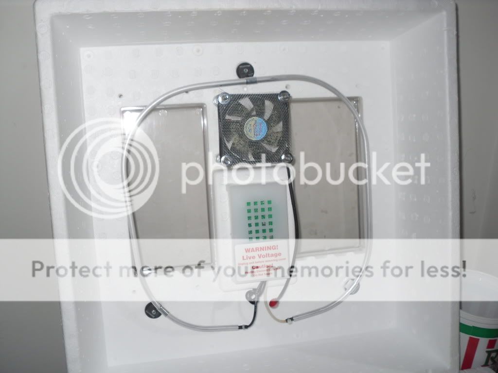 SDC12401.jpg
