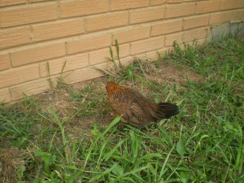 PEEPS018-1.jpg