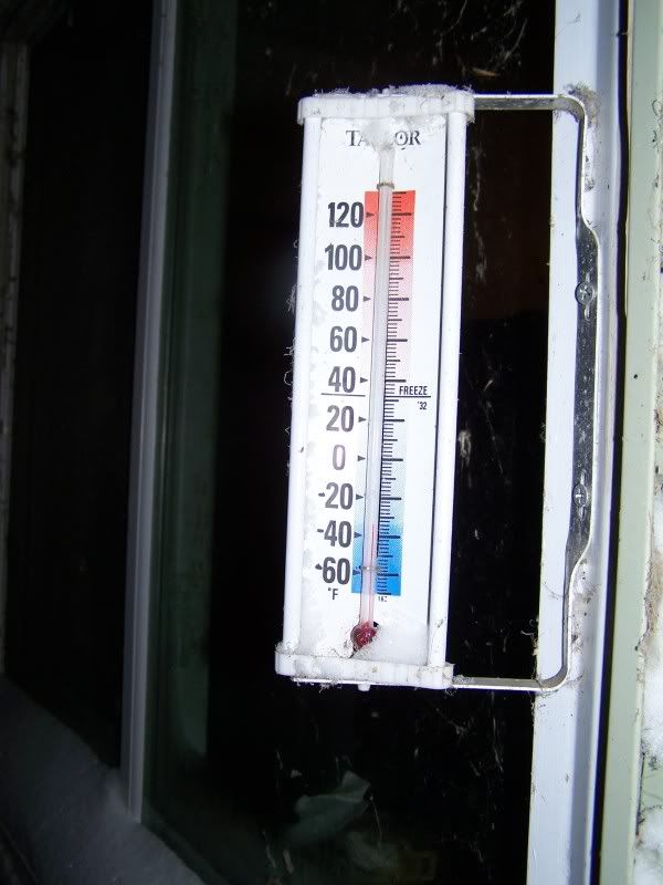 Temp.jpg