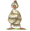 graphics-chickens-887721.gif