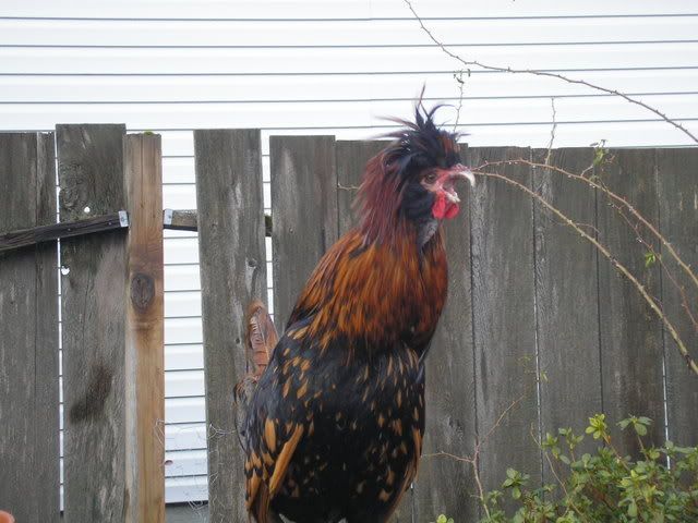2-10-08.jpg