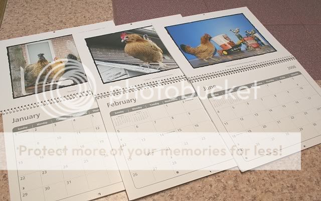 IMG_3641_lcrt_calendar.jpg