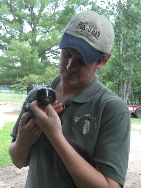 Randywskunk.jpg