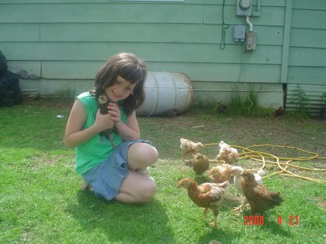 chickens013.jpg