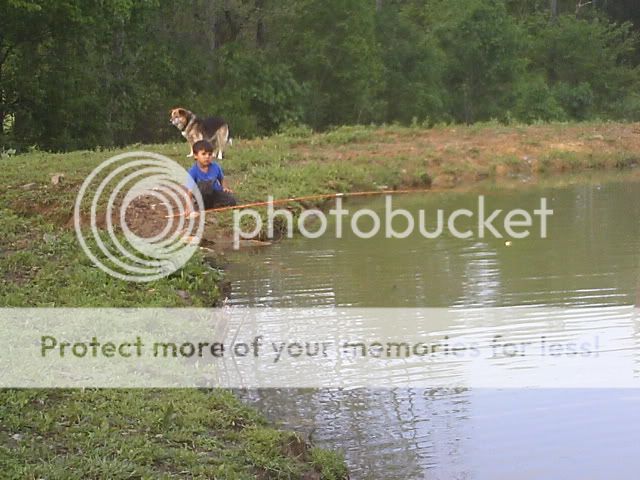 Picture015.jpg