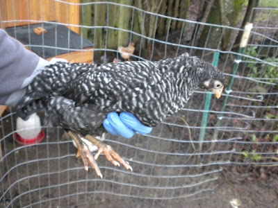 DSCN2153.JPG