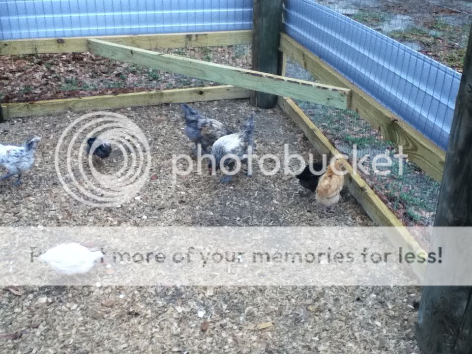 march30099.jpg