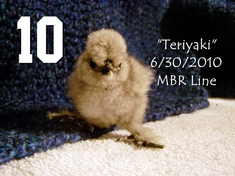 10Teriyaki1.jpg