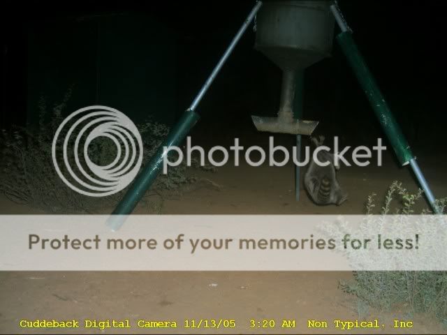 CDY_0019-2.jpg
