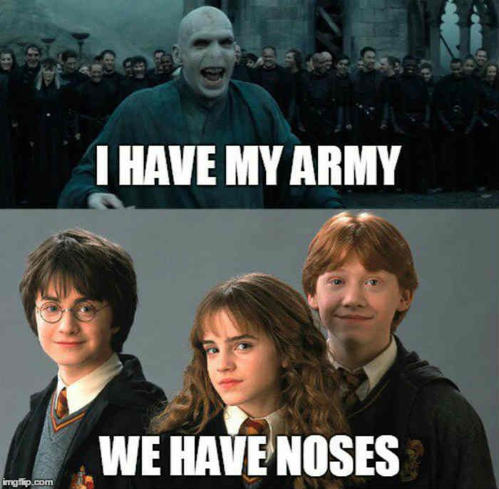 Any Other Harry Potter Fans? (Memes are always welcome 😉)