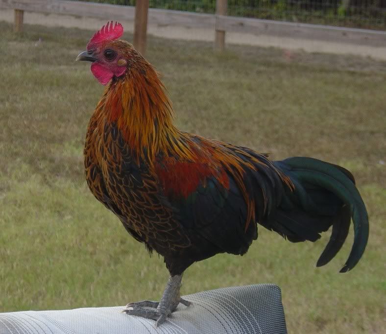 10-7-07004.jpg