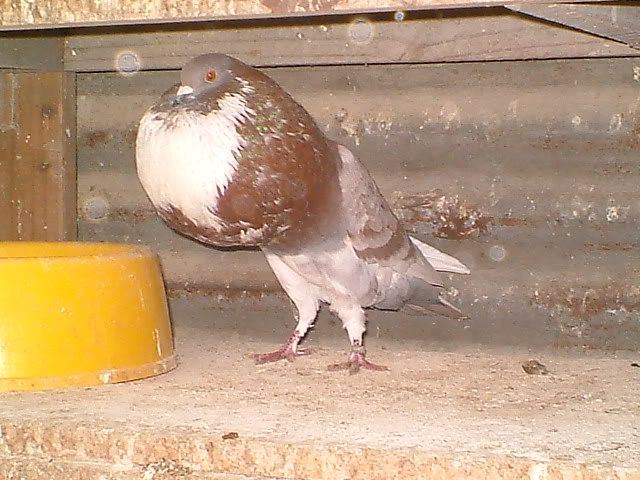 2005_0707025.jpg