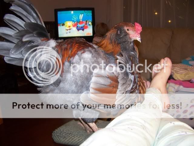 100_6811.jpg