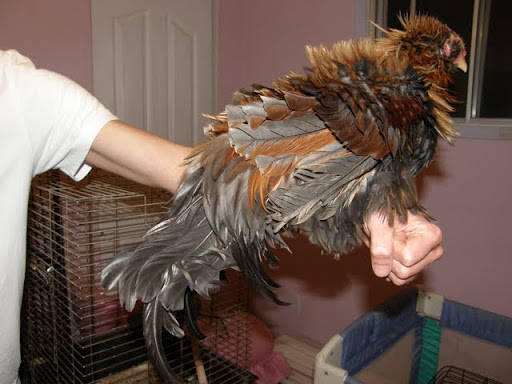 20100709_10.JPG