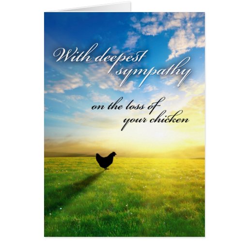 chicken_sympathy_card-r89a8cf91481048a69fd92a658e598e60_xvuat_8byvr_512.jpg