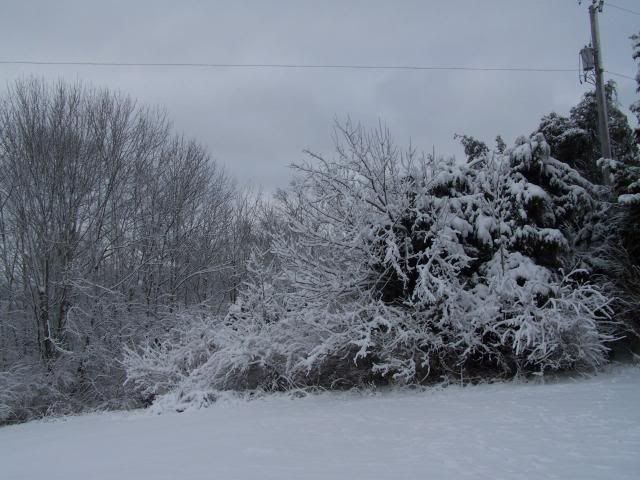 snow017.jpg