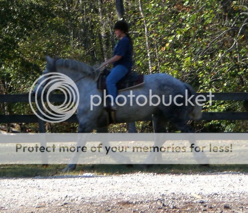 marcie10140715.jpg