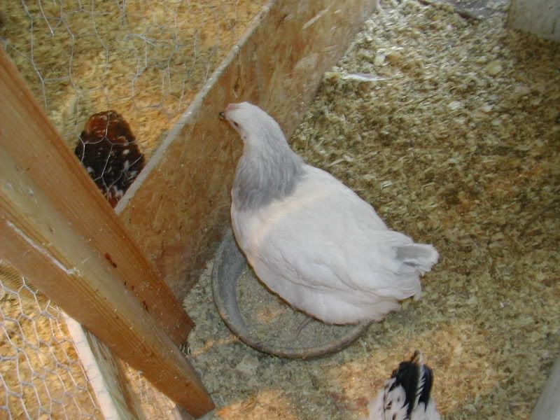 DSCN5025.jpg