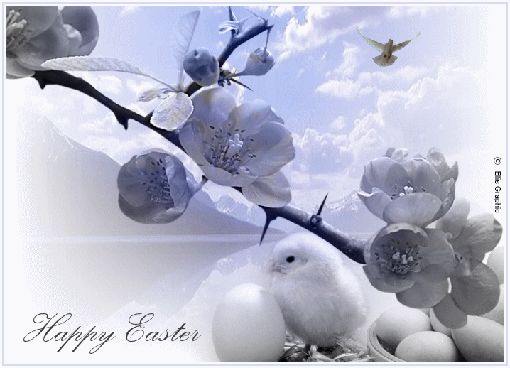 animazione_happy_easter.gif