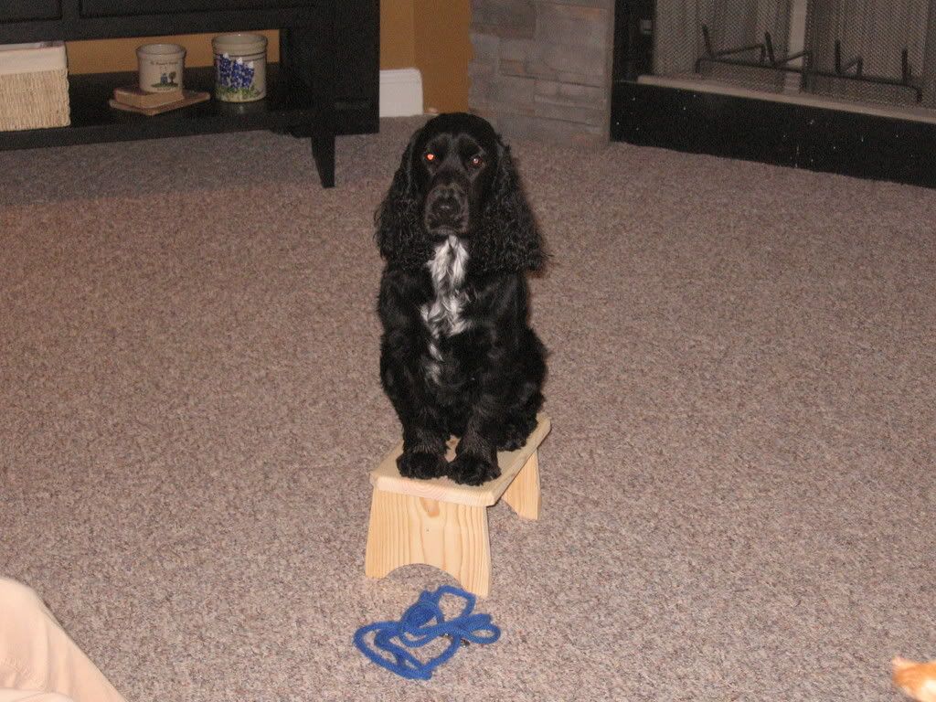 4-12-08081.jpg