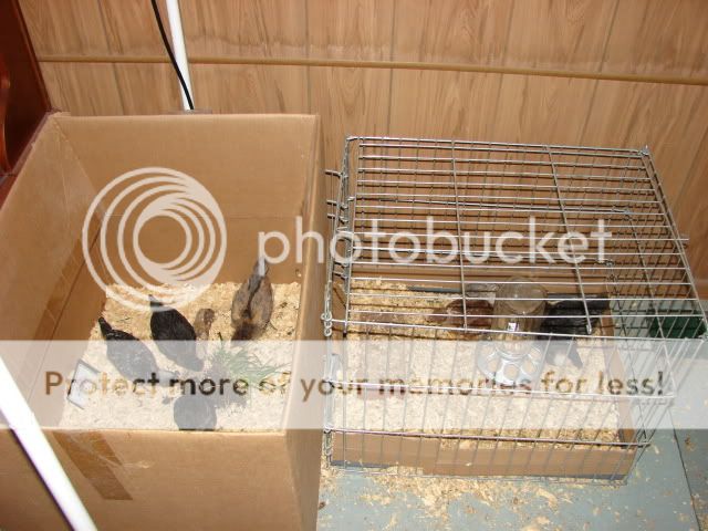 DSC00898.jpg