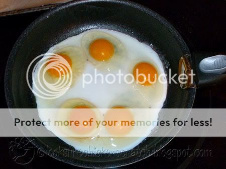 eggs2sm.jpg