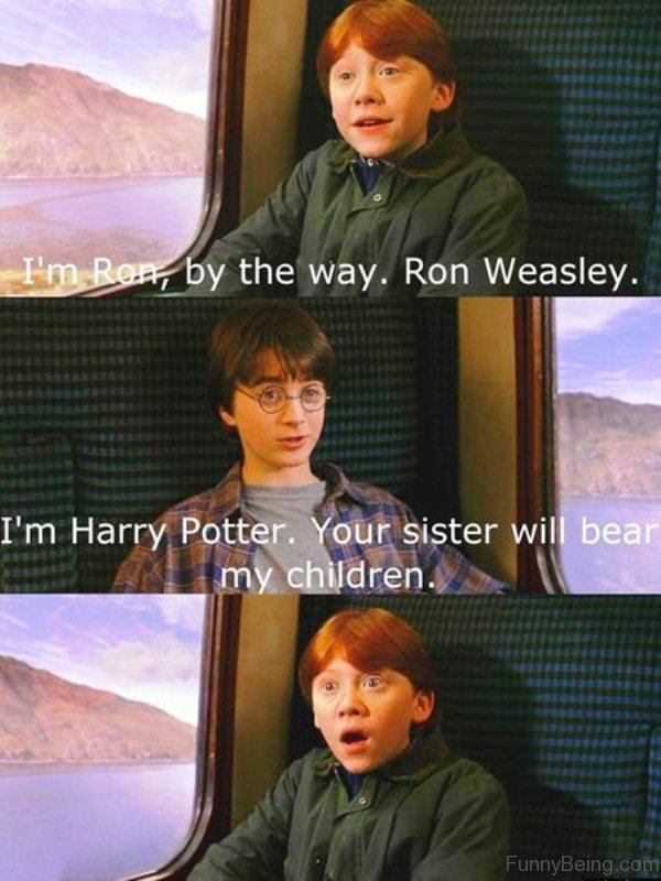 Clean Harry Potter Memes - -Unofficial Weasley