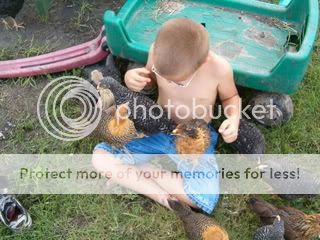 HPIM0541.jpg