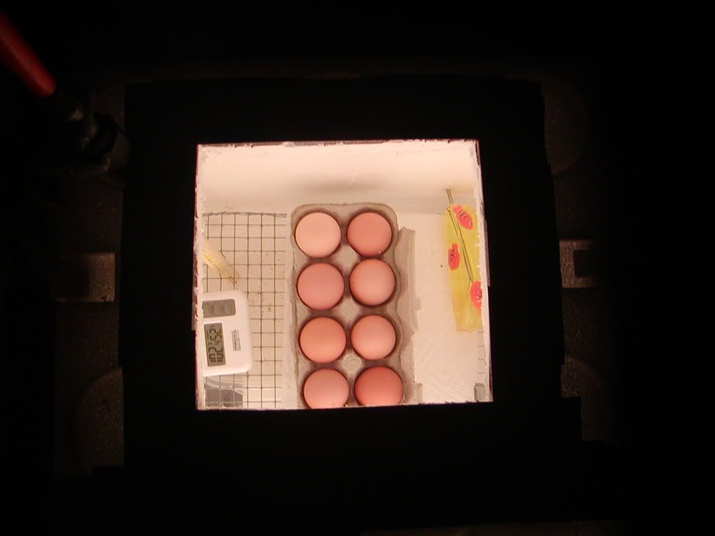 CopyofP9160031.jpg