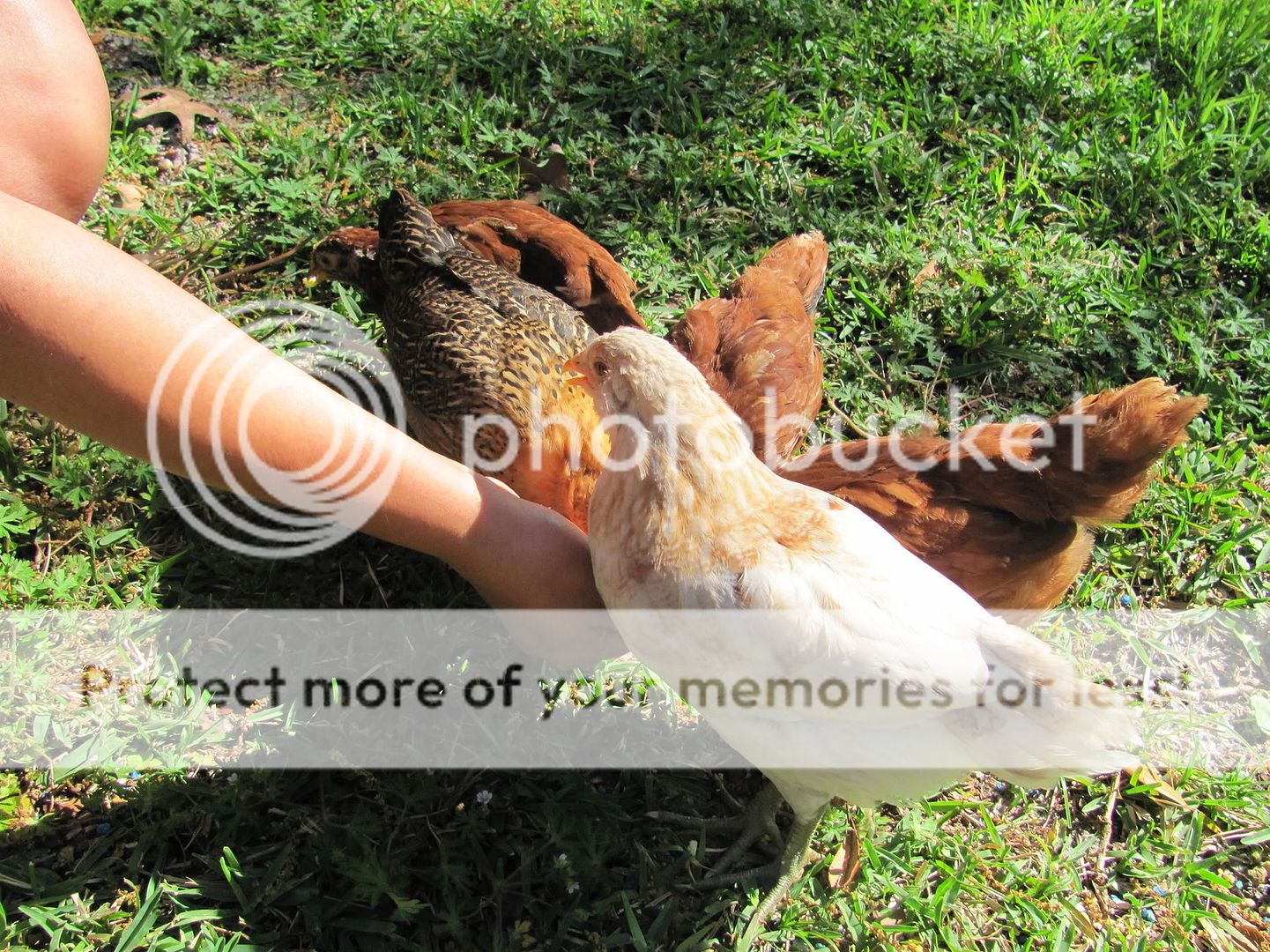 WeddingandMeko139.jpg